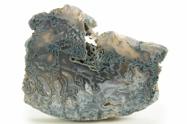 Polished Moss Agate Slab - Oregon #333028